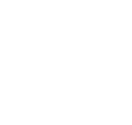 The Elephant Wheelbarrow